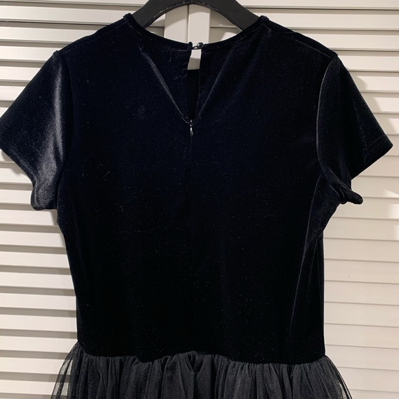 Black Velvet Tulle Dress - Picture 7 of 8